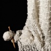 from the series PRESENCE