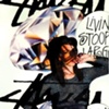 stussy campaign 2 of 4 by reggie casagrande