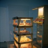 The Collector : Henri Papin project 1 - Cabinet room