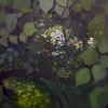 Leaves 2007