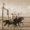 Gaucho Ring Game