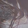 Works on Paper