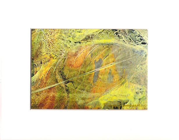 digital print of citra solv art by Nancy Denmark 