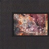 LEAF SERIES PRINT 22