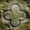 QUATREFOIL AS DESIGN INFLUENCE