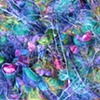 MARDI GRAS CLOSE UP