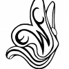 ECW BUTTERFLY