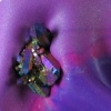 PURPLES W/ ARKANSAS CRYSTALS