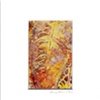 LEAF SERIES PRINT 17