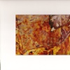 LEAF SERIES PRINT 9