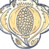 BURSTING POMEGRANATE