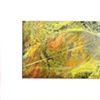 LEAF SERIES PRINT 4