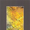 LEAF SERIES PRINT 11