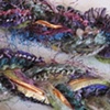 3_MOSSY COLORS BRAIDED BOA 
CLOSE UP
