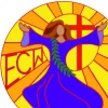 A NEW LIGHT IS SHINING COLOR LOGO