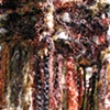 TIGEREYE FRINGE CLOSE UP
