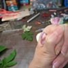 SHAPING IN HAND