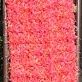 O_RED SCARF OR STOLE W/ RAINBOW FLECKS OF COLOR