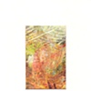 LEAF SERIES PRINT 20