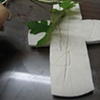 PULLING GRAPE LEAVES FROM CLAY
