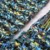 BLUES, GREENS CLOSE UP VIEW