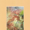 LEAF SERIES PRINT 12