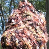 TIGEREYE FOLDED VIEW