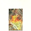 LEAF SERIES PRINT 21