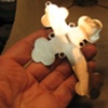 BURNISHING BLEMISHES SANDED