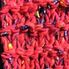 M_RED W/ RAINBOW RIBBON CLOSE UP