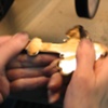BACK COMING TO HIGH POLISH