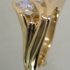 Ring Side View