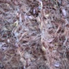 Y_TAUPE CLOSE UP