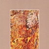 LEAF SERIES PRINT 8