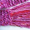 X_PINK, RED, PURPLE FRINGE