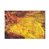 LEAF SERIES PRINT 14