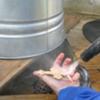 CLEANING WITH PRESSURE WASH