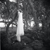 weddings