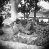 feira 3