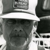 farm bureau