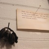 the museum of mistakes