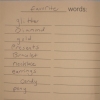 my journal
