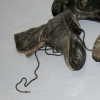 the shoe shine