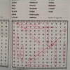 thomas pynchon's crossword puzzles