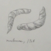 mealworms, 1968