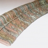 a fixed topography