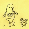the koala bear dance