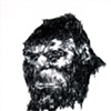 in search of bigfoot