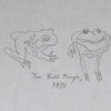 two bull frogs, 1970