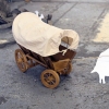the oregon trail